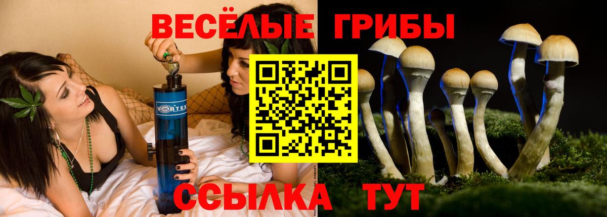 Галлюциногенные грибы прущие грибы Коркино